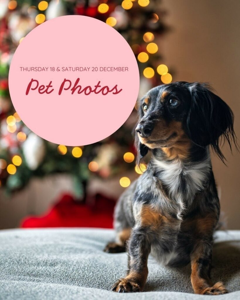 98f81d4ccde6da4f745ce8b50dd91bb07ce59905